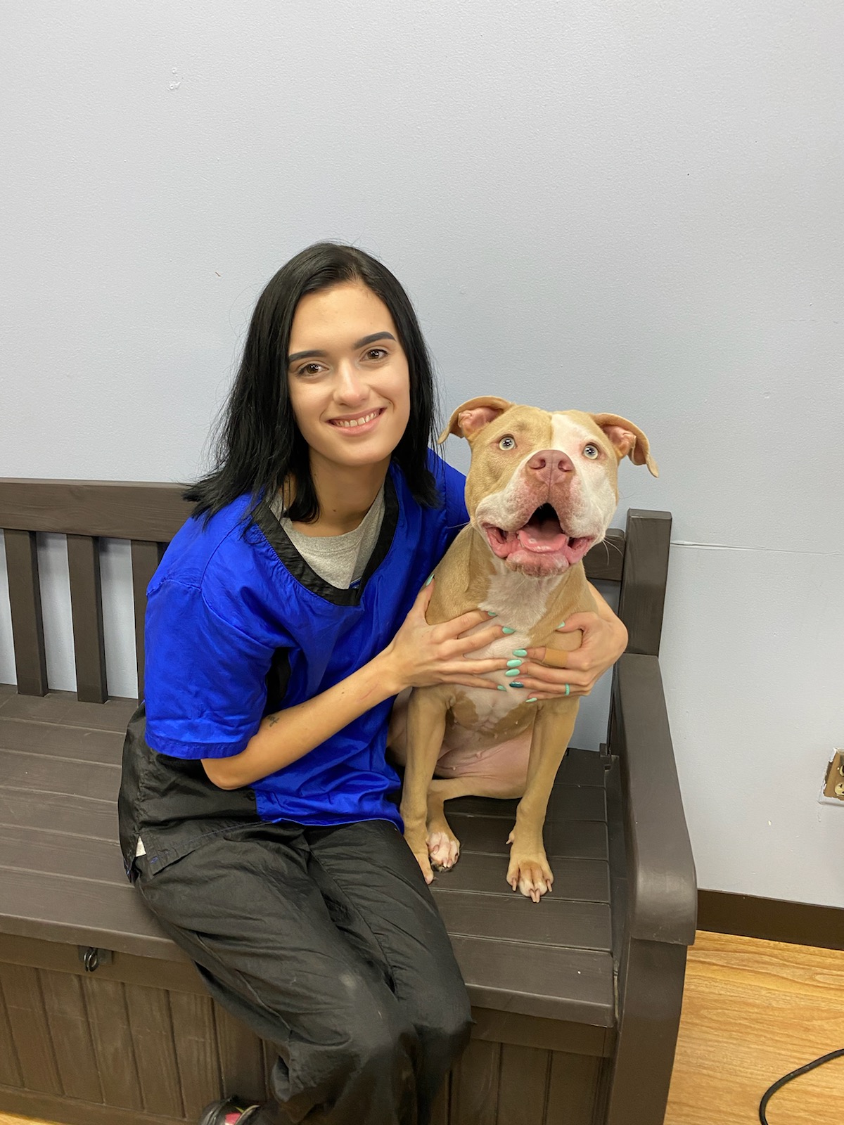 About Belly Rubs Grooming young woman wearing